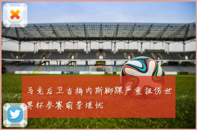 马竞后卫吉梅内斯脚踝严重扭伤世界杯参赛前景堪忧