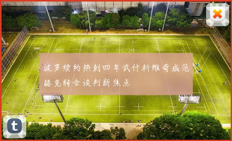 波罗续约热刺四年武什科维奇成范赫克转会谈判新焦点