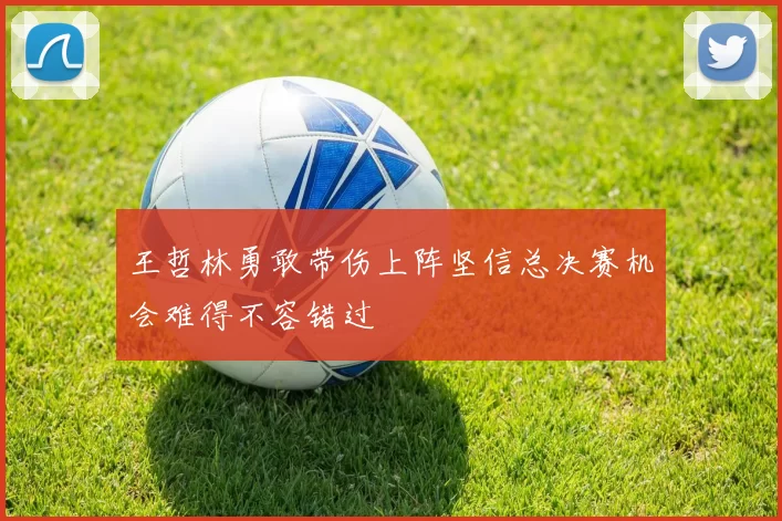 王哲林勇敢带伤上阵坚信总决赛机会难得不容错过