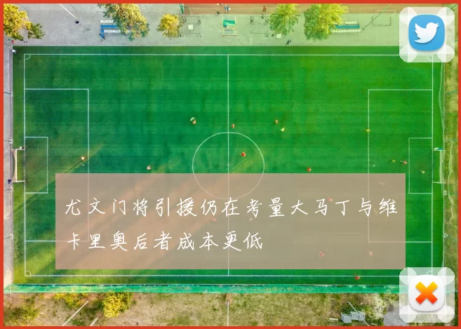 尤文门将引援仍在考量大马丁与维卡里奥后者成本更低